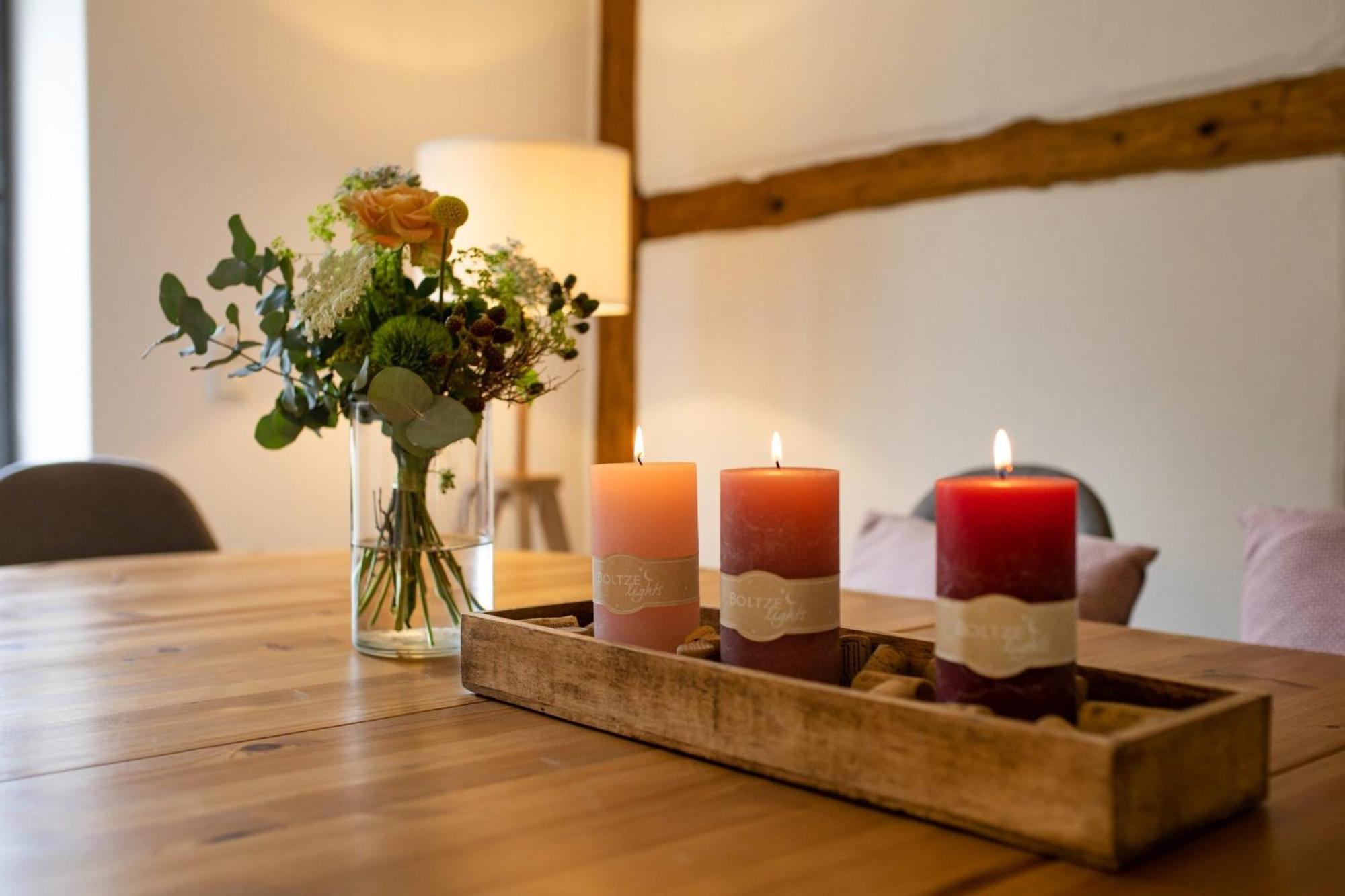 Weingut Haus Steinbach Villa Radebeul Room photo